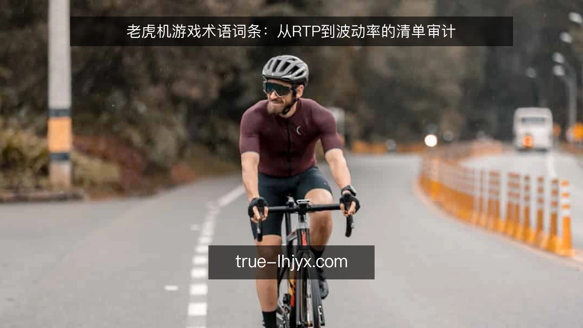 老虎机游戏术语词条：从RTP到波动率的清单审计