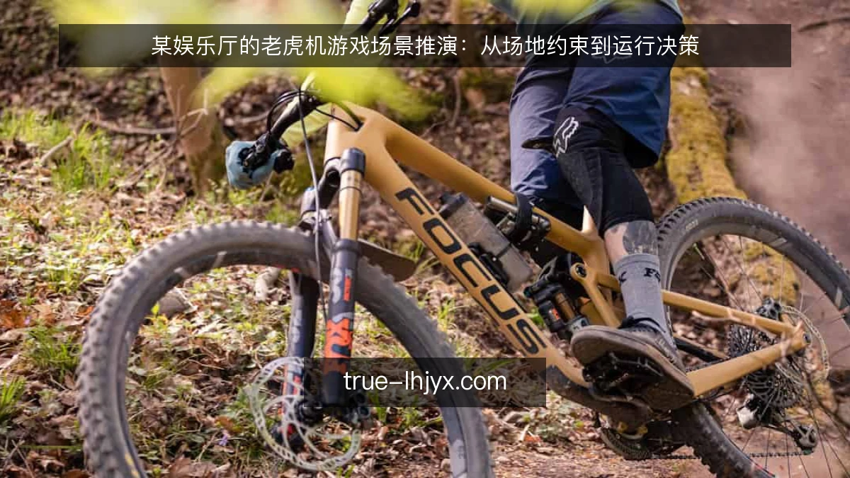 某娱乐厅的老虎机游戏场景推演:从场地约束到运行决策